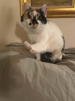 /album/265/whatsapp-image-2026-03-25-at-19-49-28-2-jpeg/